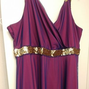 Stunning NWT Igigi dress!
